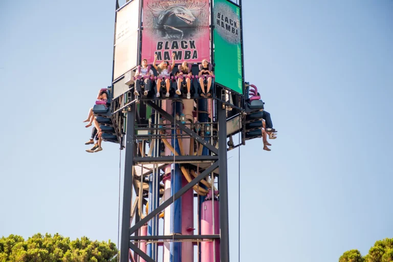 בלאק ממבה (3)