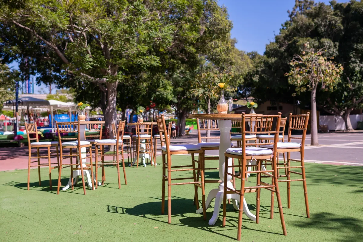 אירועים בלונה פארק (3)