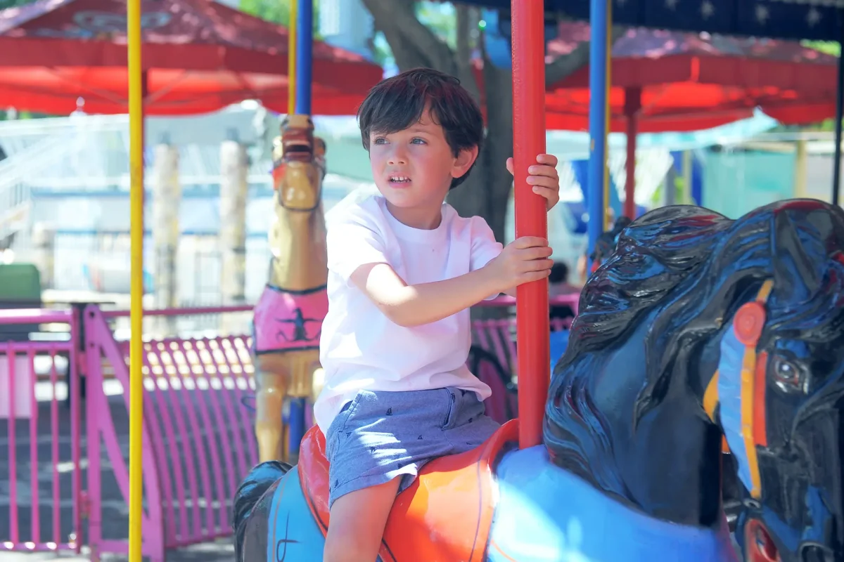 קרוסלת סוסים (1)