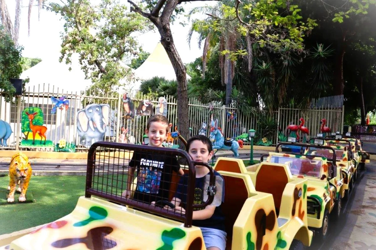 ראלי ספארי (1)