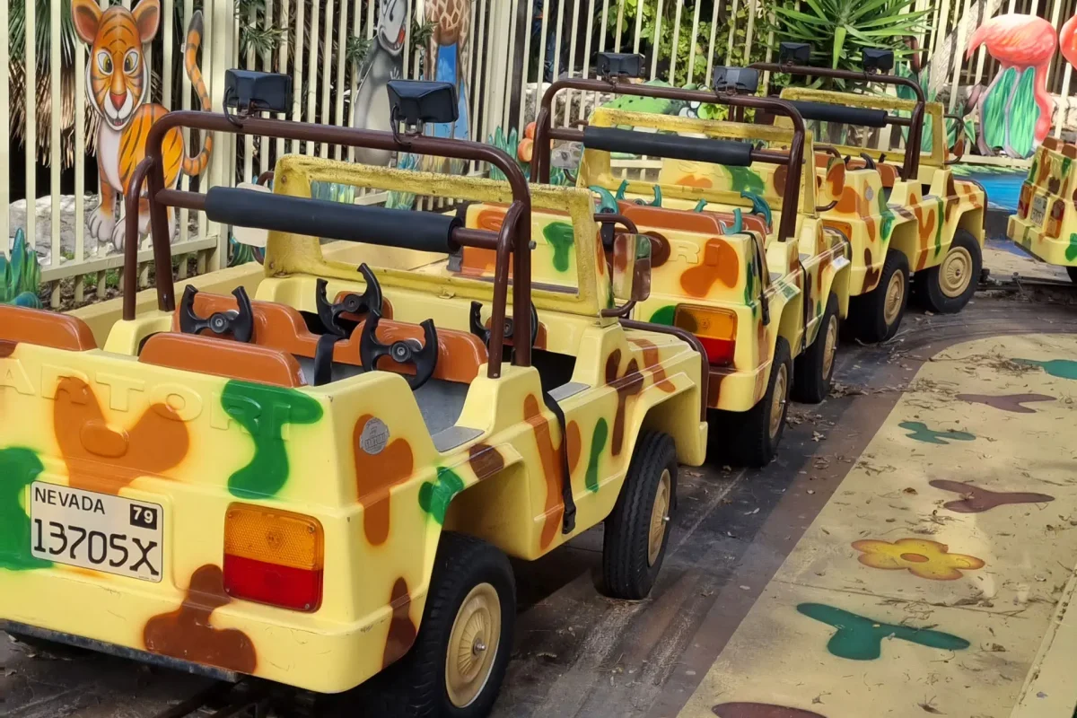 ראלי ספארי (2)