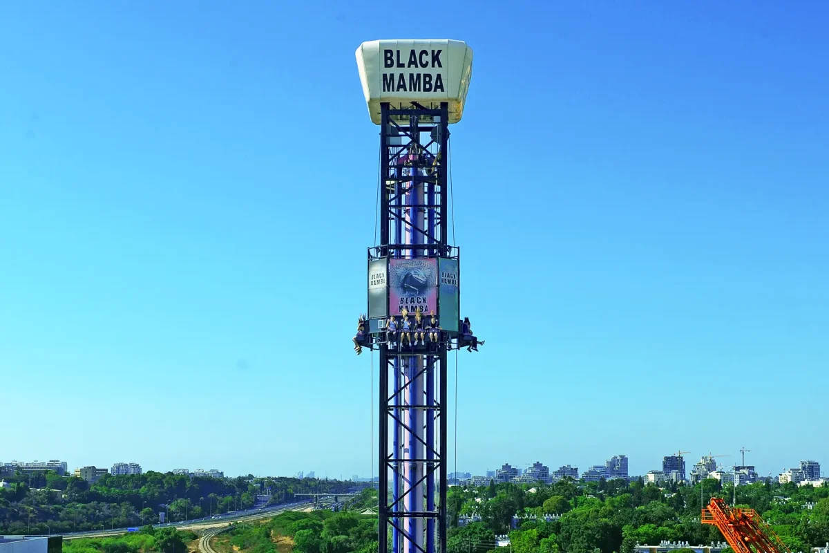 בלאק ממבה (1)