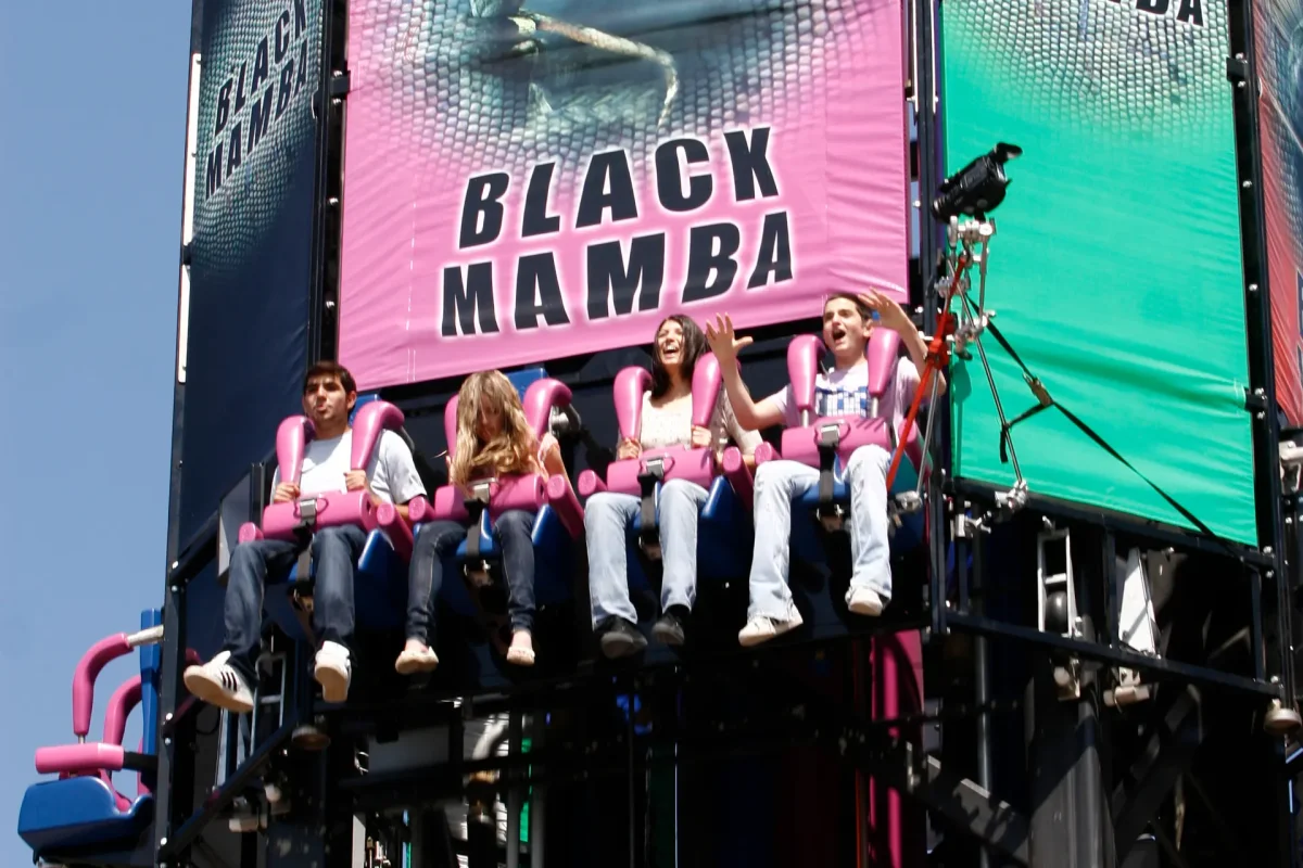 בלאק ממבה (2)