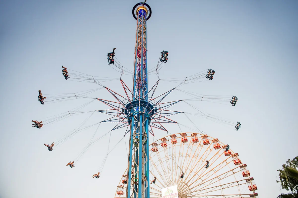 הכוכב- Star flyer (3)