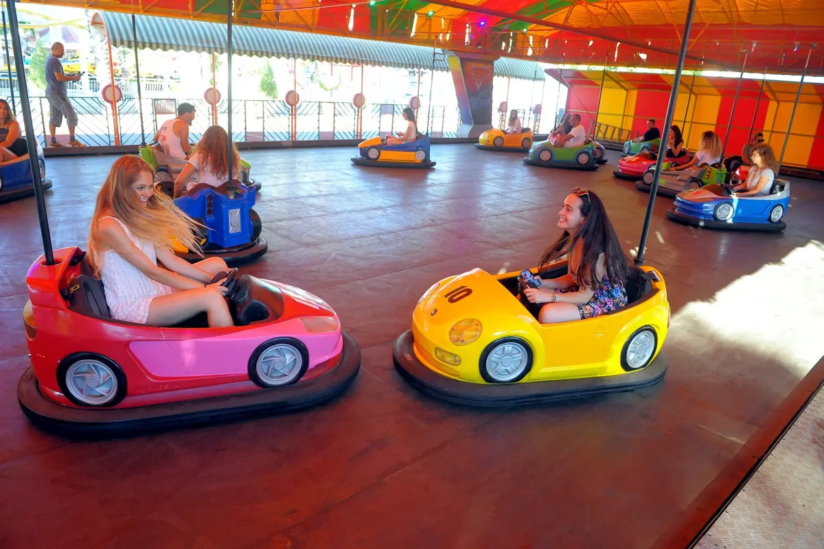 מכוניות מתנגשות (1)