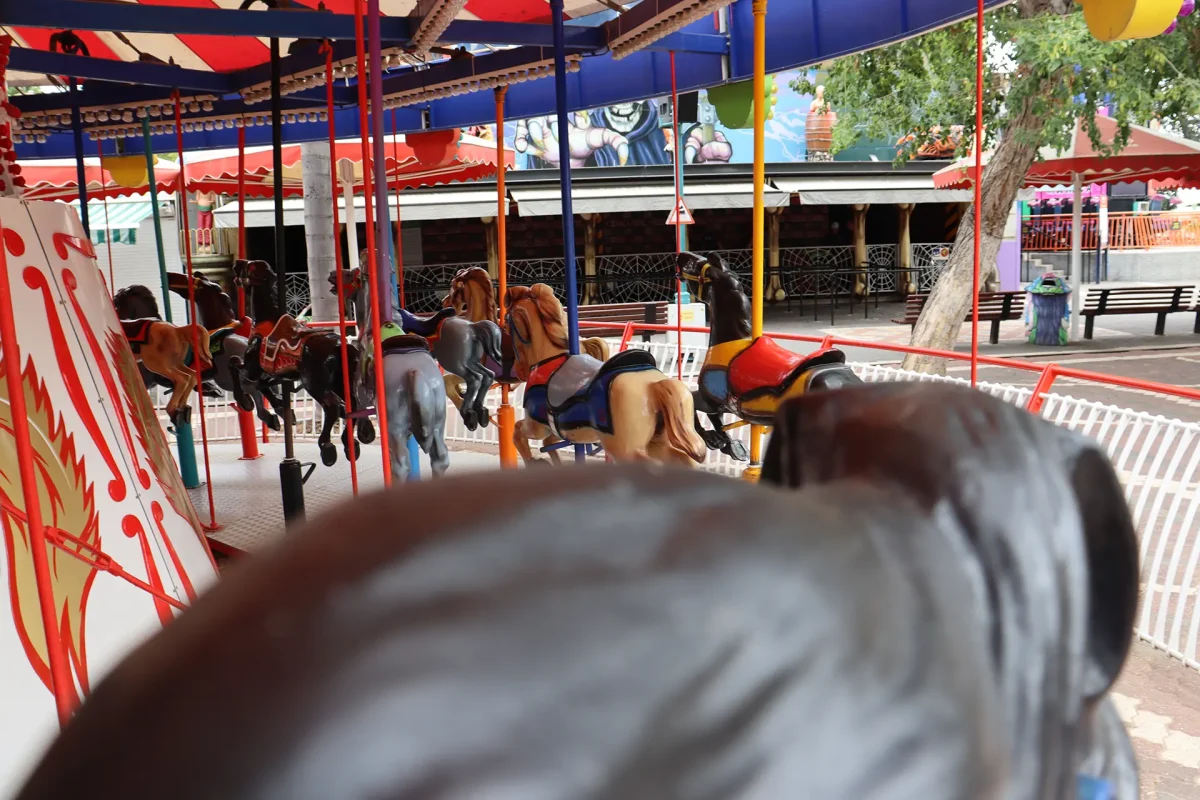 קרוסלת סוסים (2)