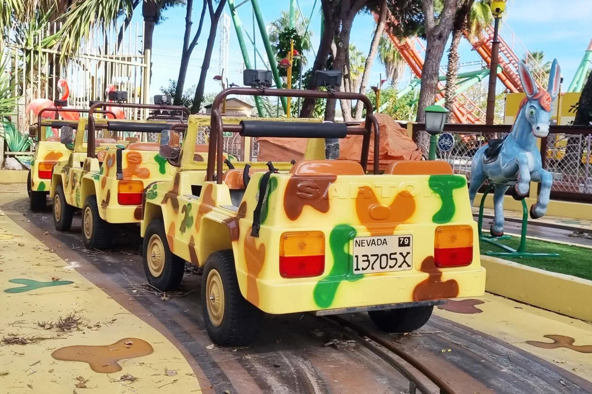 ראלי ספארי (3)